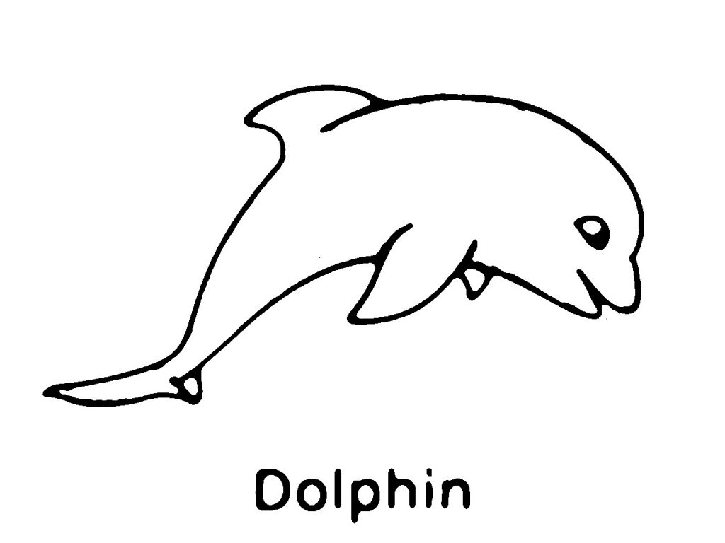 ausmalbilder delfine wale fische kostenlos  super